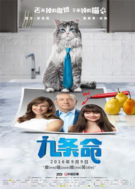 精品国产v